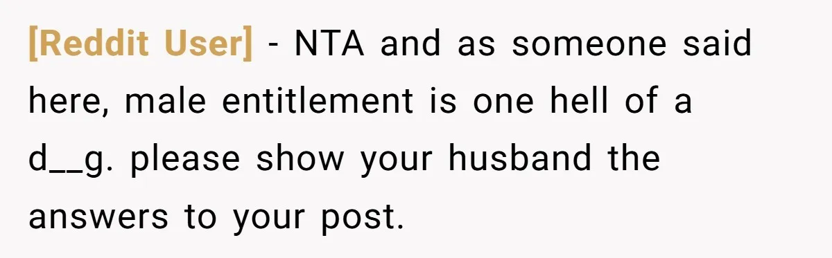 [Reddit User] − NTA and as someone said here, male entitlement is one hell of a d__g. please show your husband the answers to your post.