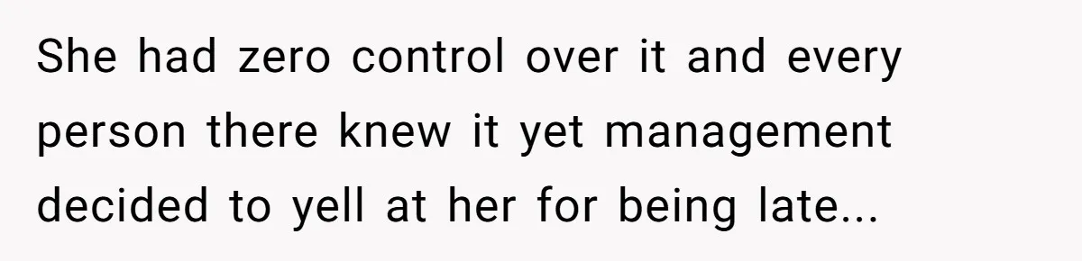 Boss Told Employee To Be On Time, So He Adjusted His Schedule To The Minute And Now His Boss Is Regretting It She had zero control over it and every person there knew it yet management decided to yell at her for being late...