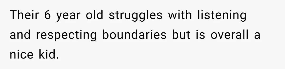 Their 6 year old struggles with listening and respecting boundaries but is overall a nice kid.