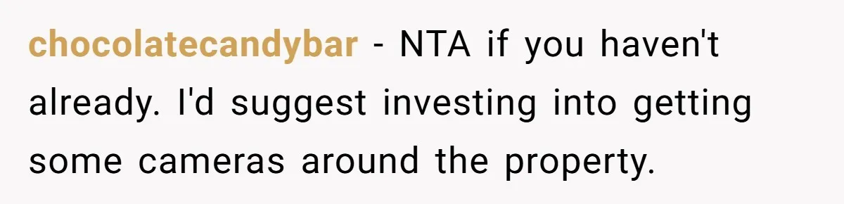 chocolatecandybar − NTA if you haven't already. I'd suggest investing into getting some cameras around the property.
