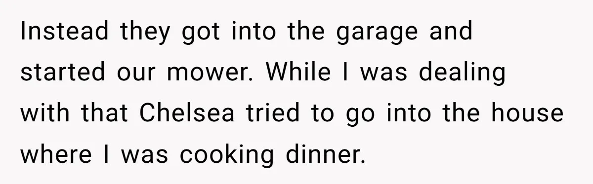Instead they got into the garage and started our mower. While I was dealing with that Chelsea tried to go into the house where I was cooking dinner.