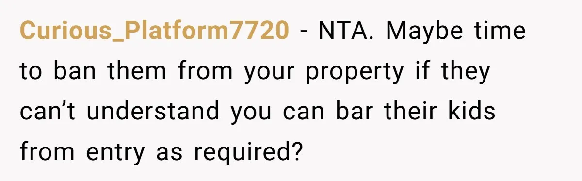 Curious_Platform7720 − NTA. Maybe time to ban them from your property if they can’t understand you can bar their kids from entry as required?