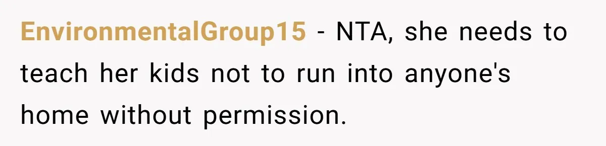 EnvironmentalGroup15 − NTA, she needs to teach her kids not to run into anyone's home without permission.