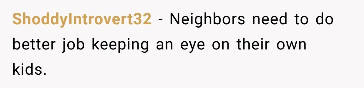 ShoddyIntrovert32 − Neighbors need to do better job keeping an eye on their own kids.
