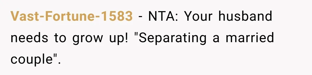Vast-Fortune-1583 − NTA: Your husband needs to grow up! "Separating a married couple".