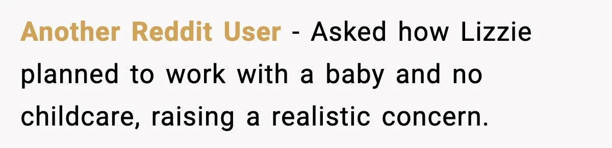 Another Reddit User - Asked how Lizzie planned to work with a baby and no childcare, raising a realistic concern.