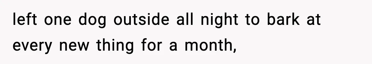 left one dog outside all night to bark at every new thing for a month,