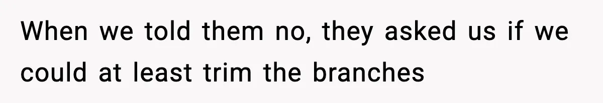 When we told them no, they asked us if we could at least trim the branches