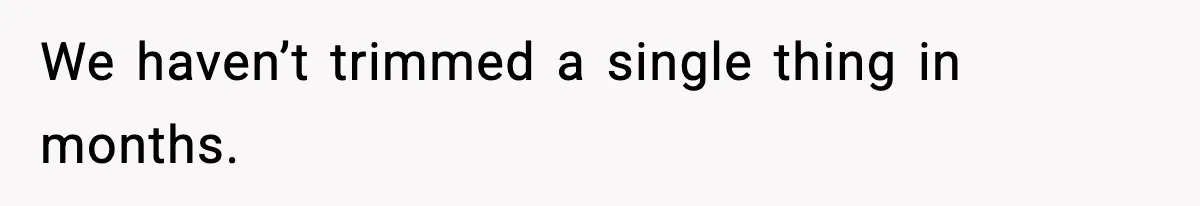 We haven’t trimmed a single thing in months.