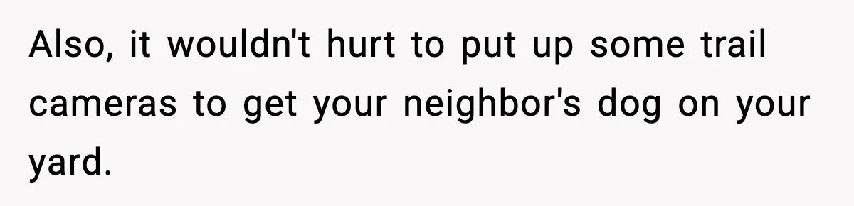 Also, it wouldn't hurt to put up some trail cameras to get your neighbor's dog on your yard.