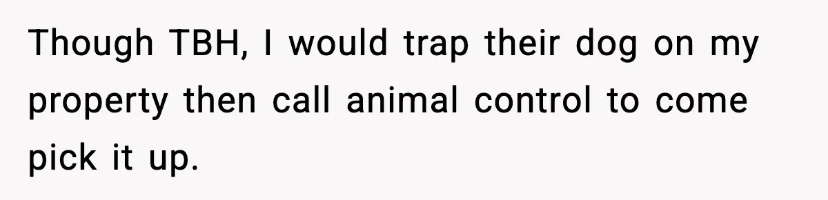 Though TBH, I would trap their dog on my property then call animal control to come pick it up.