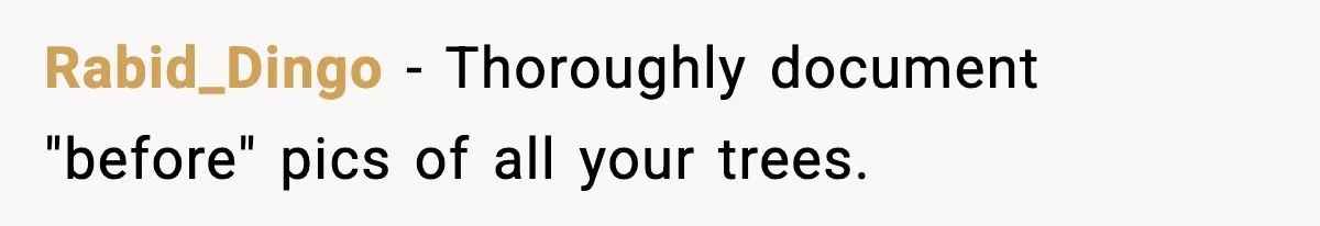 Rabid_Dingo − Thoroughly document "before" pics of all your trees.