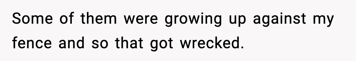 Some of them were growing up against my fence and so that got wrecked.