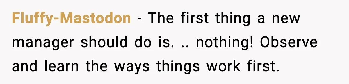 Fluffy-Mastodon - The first thing a new manager should do is. .. nothing! Observe and learn the ways things work first.