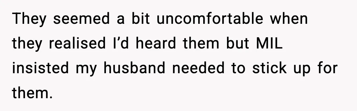 They seemed a bit uncomfortable when they realised I’d heard them but MIL insisted my husband needed to stick up for them.