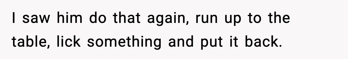 I saw him do that again, run up to the table, lick something and put it back.