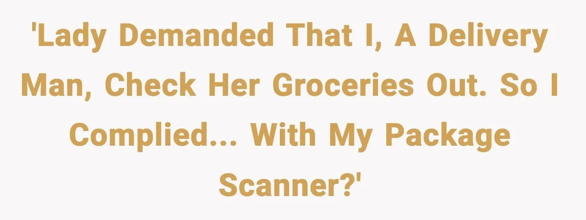 'Lady demanded that I, a delivery man, check her groceries out. So I complied... with my package scanner?'
