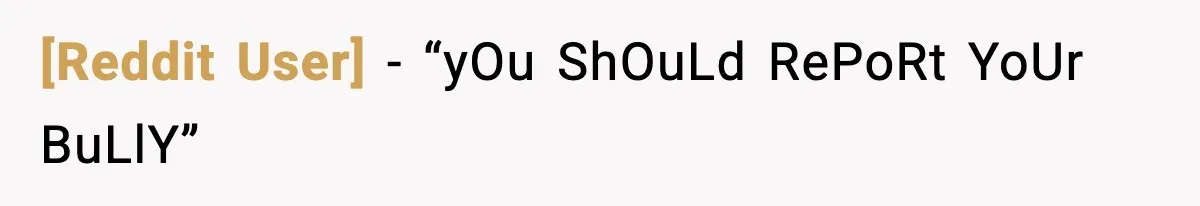 [Reddit User] - “yOu ShOuLd RePoRt YoUr BuLlY”