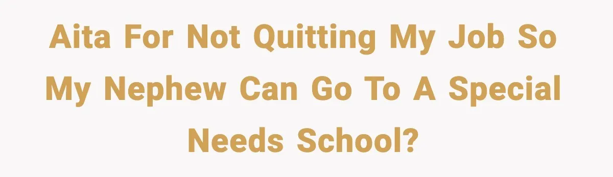 AITA for not quitting my job so my nephew can go to a special needs school?