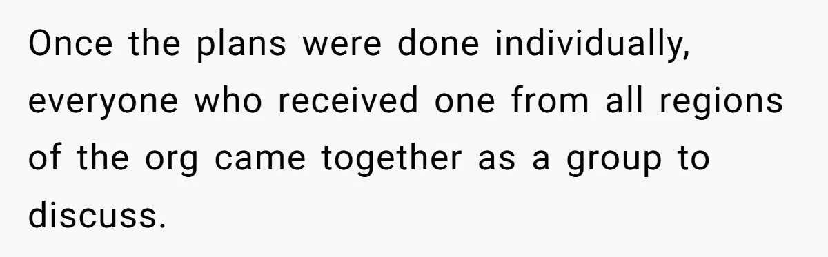 Once the plans were done individually, everyone who received one from all regions of the org came together as a group to discuss.