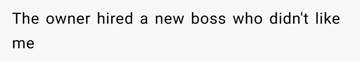 The owner hired a new boss who didn't like me