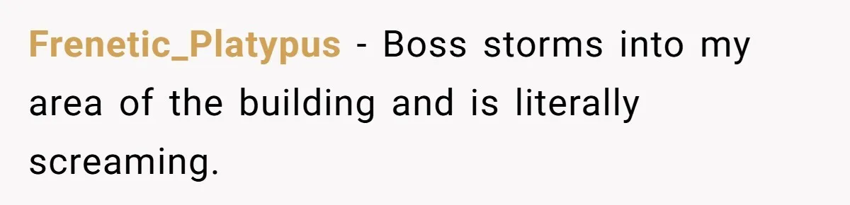 Frenetic_Platypus − Boss storms into my area of the building and is literally screaming.