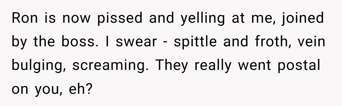 Ron is now pissed and yelling at me, joined by the boss. I swear - spittle and froth, vein bulging, screaming. They really went postal on you, eh?