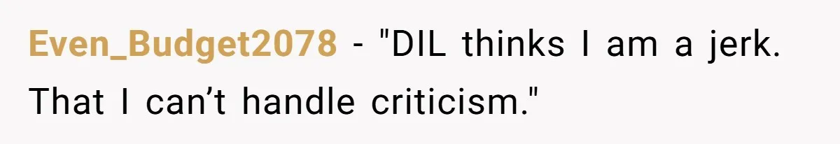 Even_Budget2078 − "DIL thinks I am a jerk. That I can’t handle criticism."