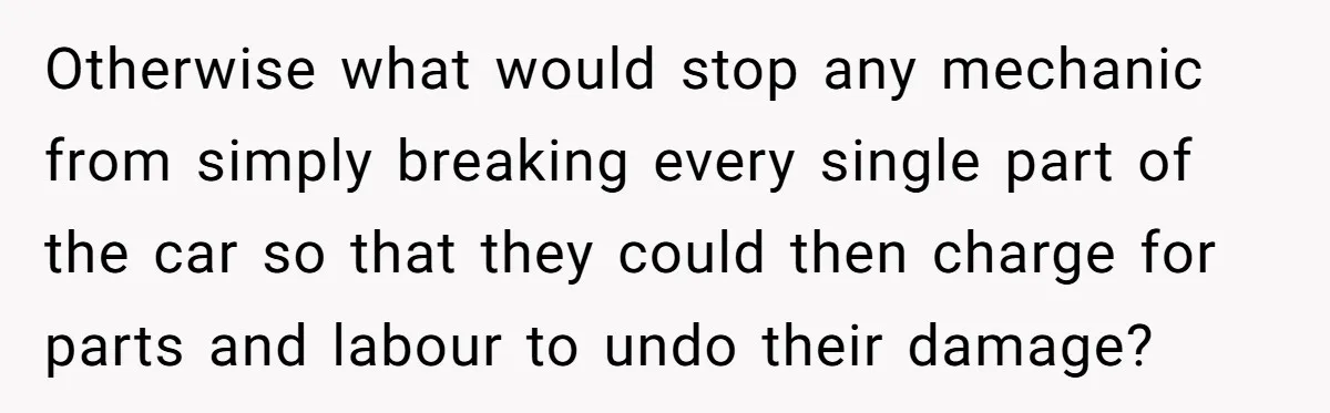 Otherwise what would stop any mechanic from simply breaking every single part of the car so that they could then charge for parts and labour to undo their damage?