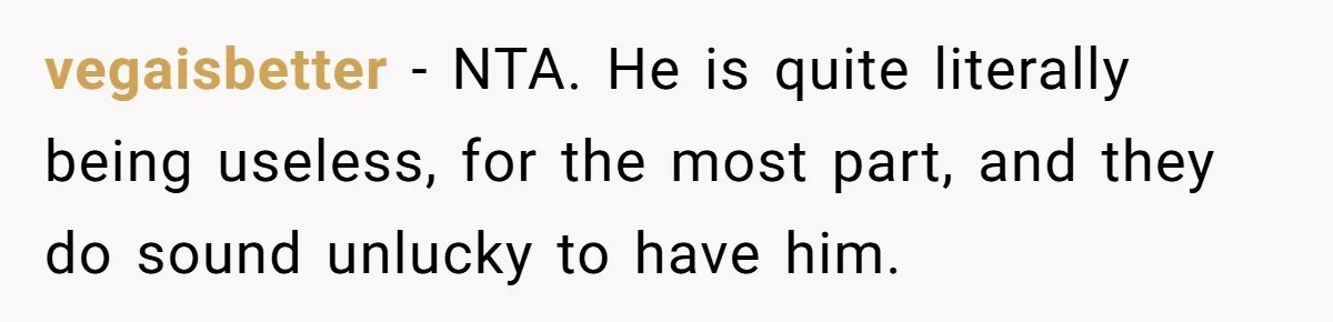 vegaisbetter − NTA. He is quite literally being useless, for the most part, and they do sound unlucky to have him.