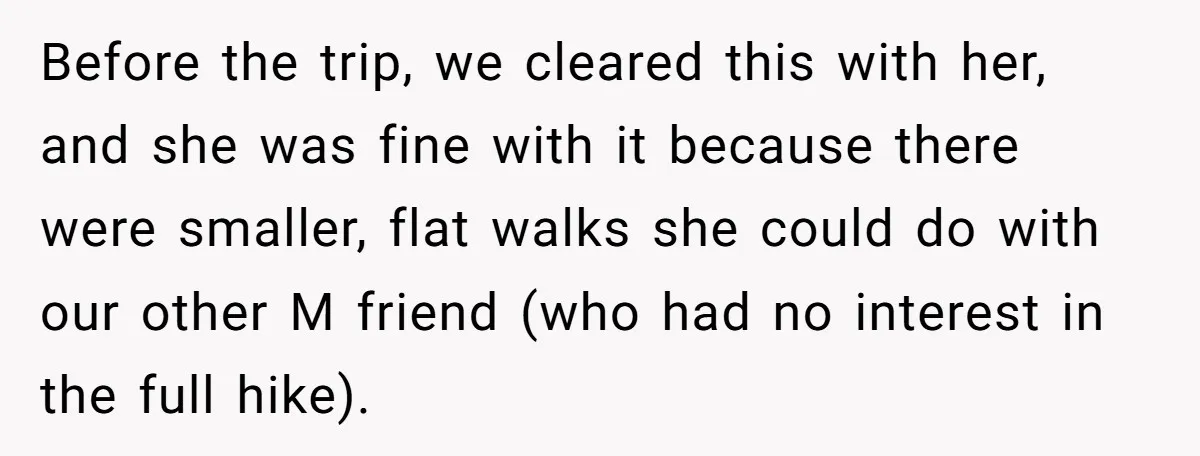 Man Snaps At Disabled Friend For Complaining About A Hike Not Being Wheelchair Accessible Before the trip, we cleared this with her, and she was fine with it because there were smaller, flat walks she could do with our other M friend (who had...