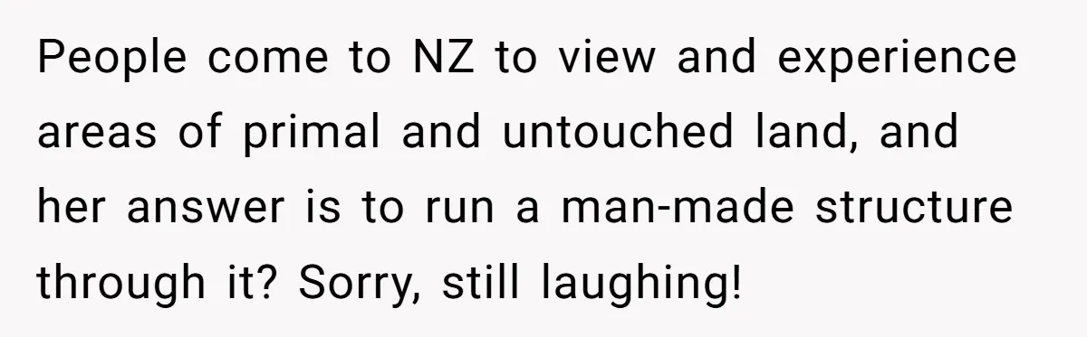 Man Snaps At Disabled Friend For Complaining About A Hike Not Being Wheelchair Accessible People come to NZ to view and experience areas of primal and untouched land, and her answer is to run a man-made structure through it? Sorry, still laughing!