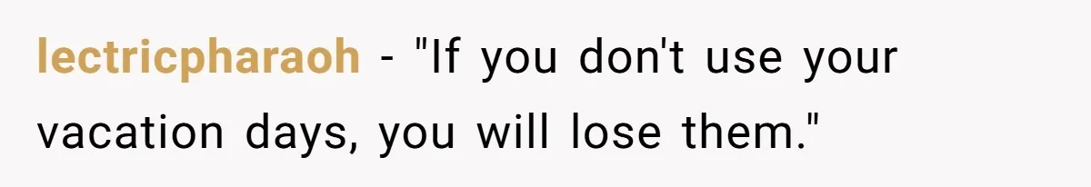 lectricpharaoh − "If you don't use your vacation days, you will lose them."