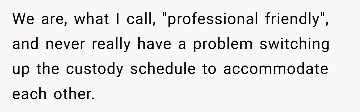 We are, what I call, "professional friendly", and never really have a problem switching up the custody schedule to accommodate each other.