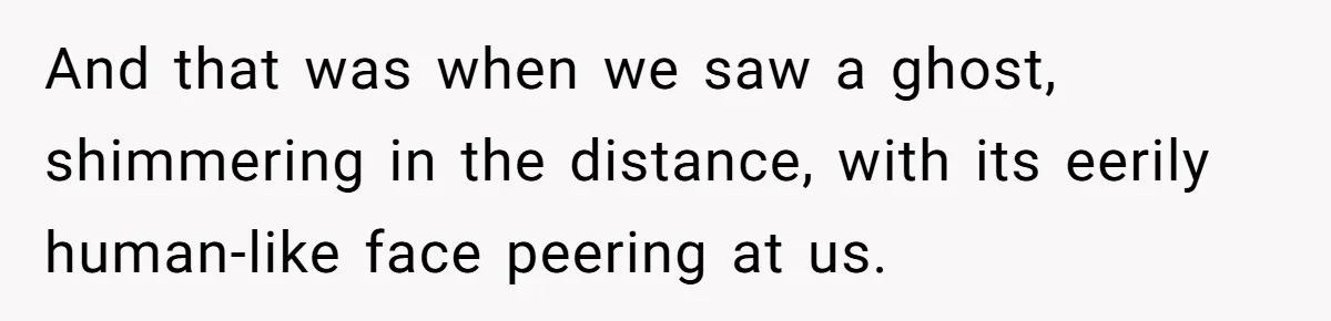 Students Demand “Something Fun,” and Their Art Teacher Makes Them Regret - Then Love - Every Second And that was when we saw a ghost, shimmering in the distance, with its eerily human-like face peering at us.