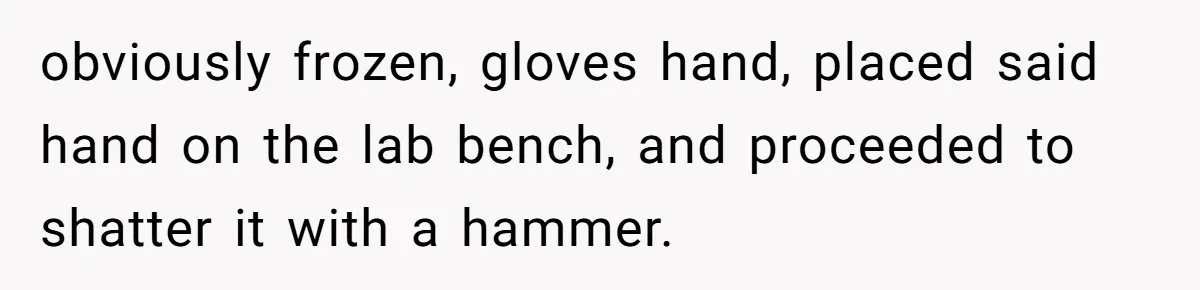Students Demand “Something Fun,” and Their Art Teacher Makes Them Regret - Then Love - Every Second obviously frozen, gloves hand, placed said hand on the lab bench, and proceeded to shatter it with a hammer.