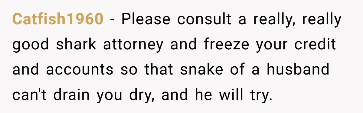 Catfish1960 − Please consult a really, really good shark attorney and freeze your credit and accounts so that snake of a husband can't drain you dry, and he will try.