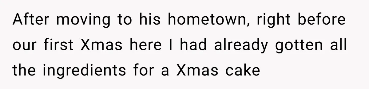 After moving to his hometown, right before our first Xmas here I had already gotten all the ingredients for a Xmas cake