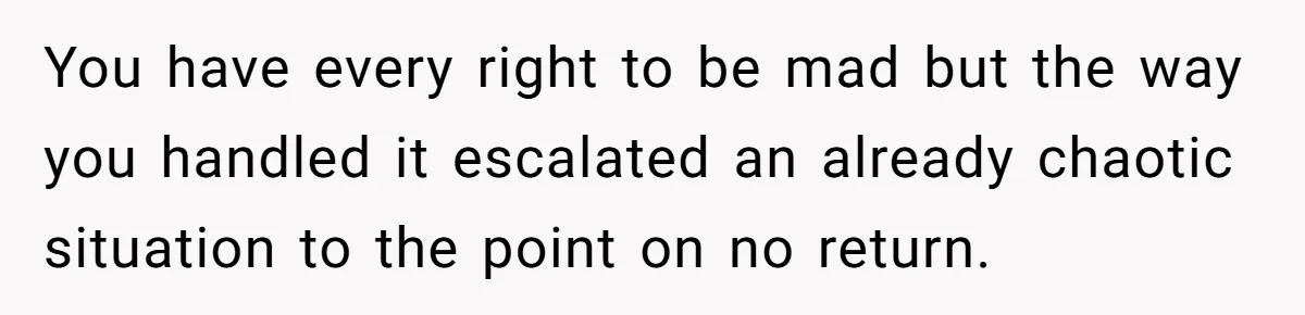 You have every right to be mad but the way you handled it escalated an already chaotic situation to the point on no return.