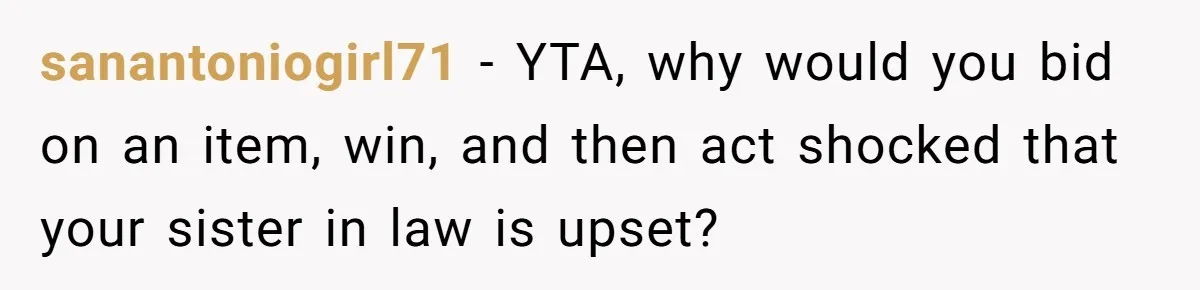 sanantoniogirl71 − YTA, why would you bid on an item, win, and then act shocked that your sister in law is upset?