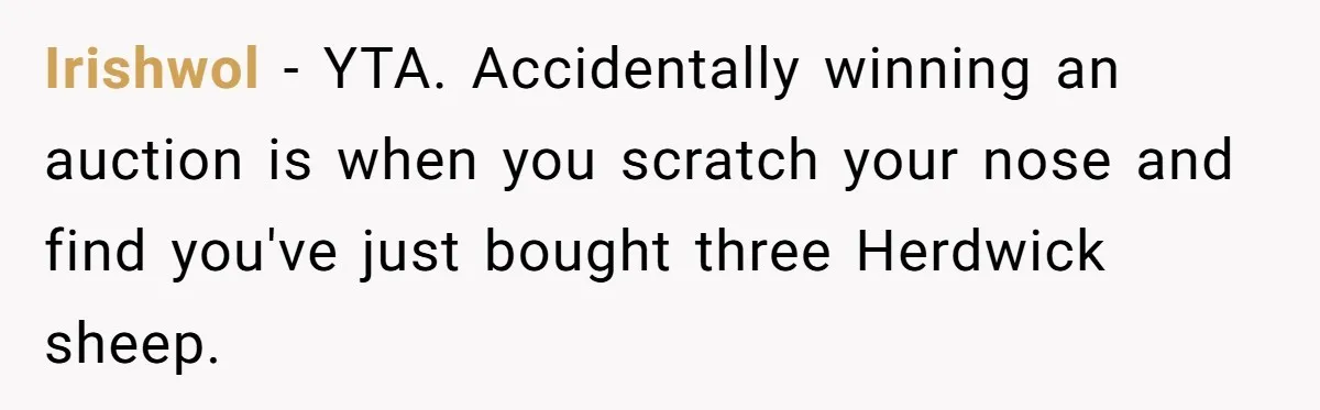 Irishwol − YTA. Accidentally winning an auction is when you scratch your nose and find you've just bought three Herdwick sheep.