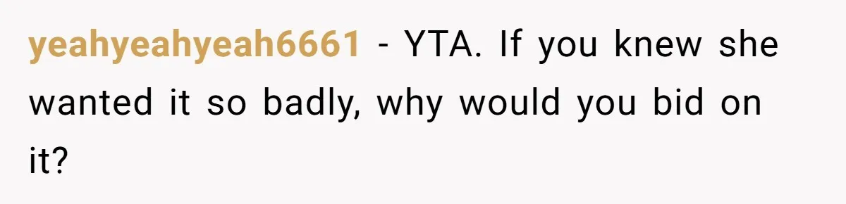 yeahyeahyeah6661 − YTA. If you knew she wanted it so badly, why would you bid on it?