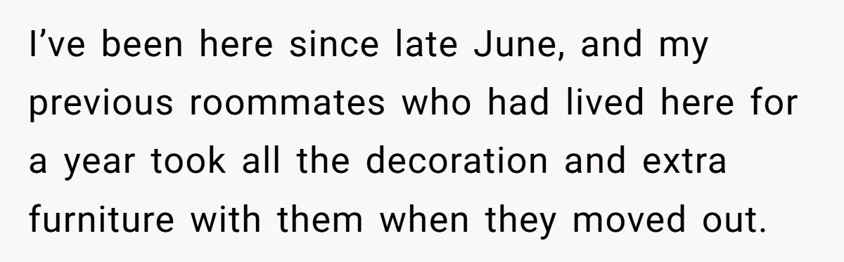 I’ve been here since late June, and my previous roommates who had lived here for a year took all the decoration and extra furniture with them when they moved out.