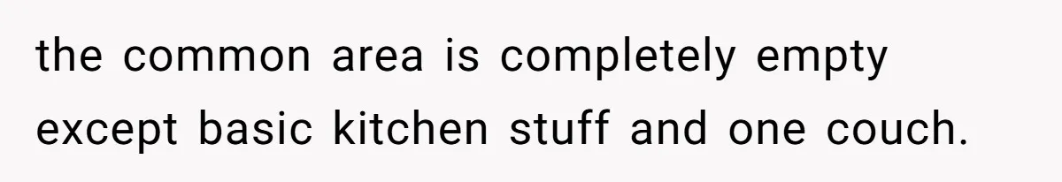 the common area is completely empty except basic kitchen stuff and one couch.