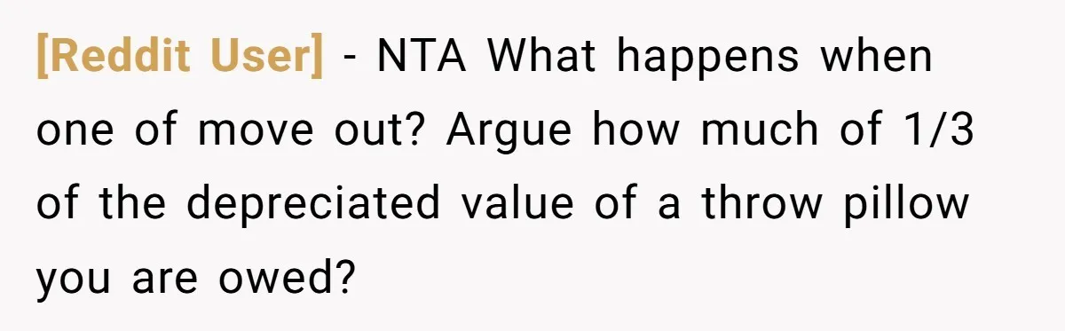 [Reddit User] − NTA What happens when one of move out? Argue how much of 1/3 of the depreciated value of a throw pillow you are owed?