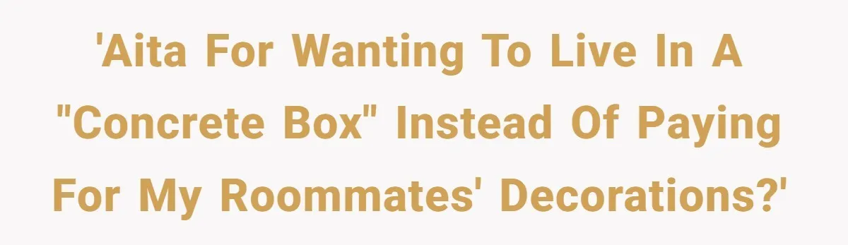 'AITA for wanting to live in a "concrete box" instead of paying for my roommates' decorations?'