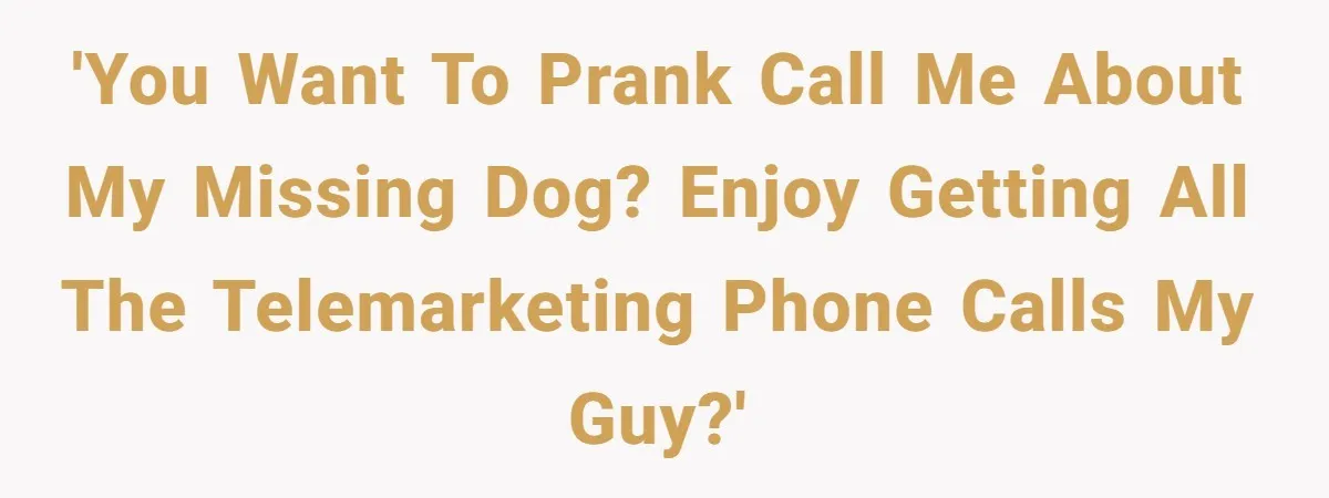'You want to prank call me about my missing dog? Enjoy getting ALL THE telemarketing phone calls my guy?'