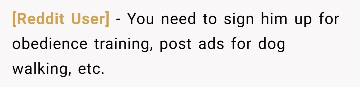 [Reddit User] − You need to sign him up for obedience training, post ads for dog walking, etc.