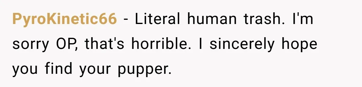 PyroKinetic66 − Literal human trash. I'm sorry OP, that's horrible. I sincerely hope you find your pupper.