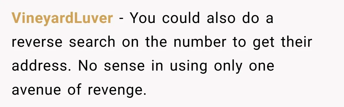 VineyardLuver − You could also do a reverse search on the number to get their address. No sense in using only one avenue of revenge.